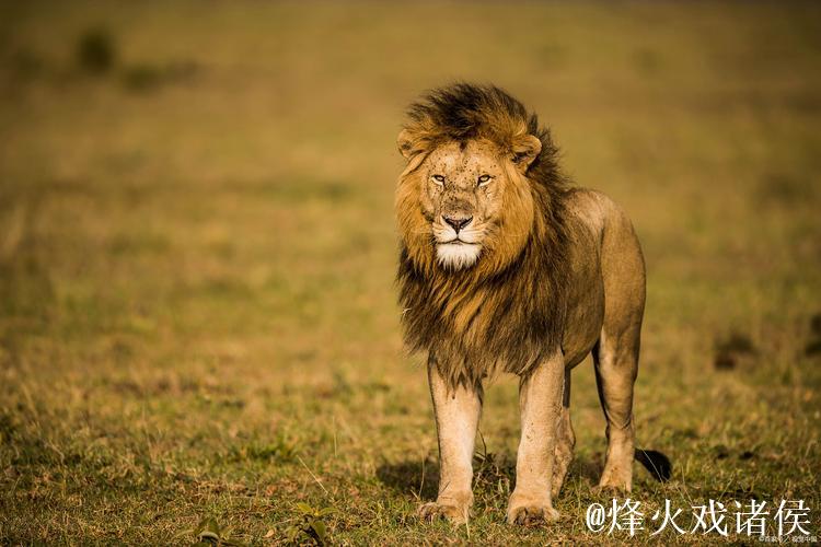 马杜埃凯:伤病困扰已久,今日终获回报 马杜埃凯:伤病困扰已久,今日终获回报